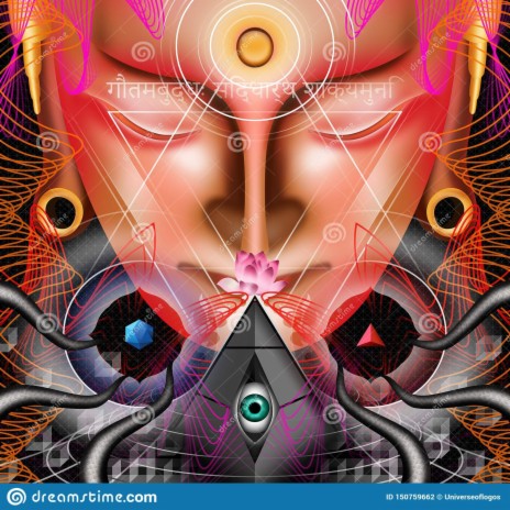 Feel playP2 cover art