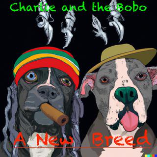 A New Breed