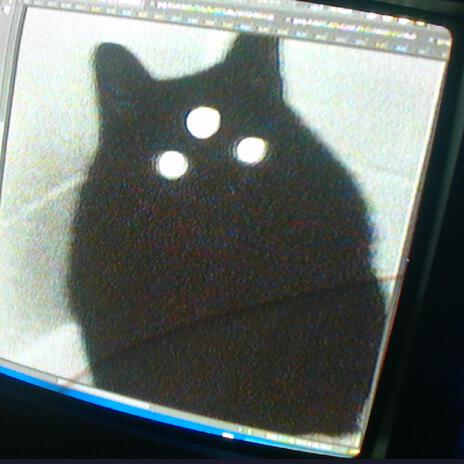 mew.flp