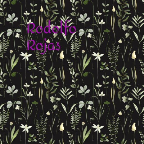 Verano cover art