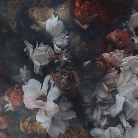 Ring Around the Rosie cover art