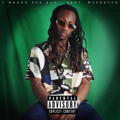 i wanna see u.. ft. Rosharra cover art