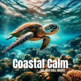 Coastal Calm (Del Mar Chill Waves)