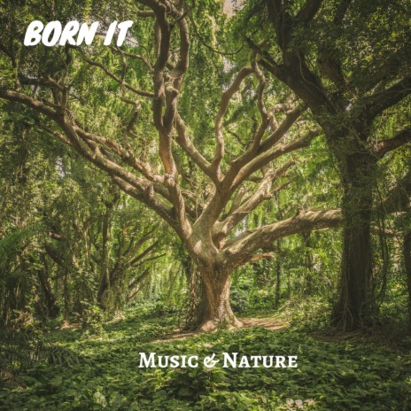 Music & Nature cover art