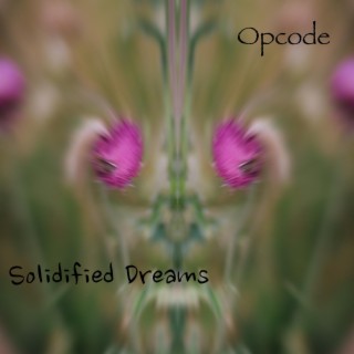 Solidified Dreams