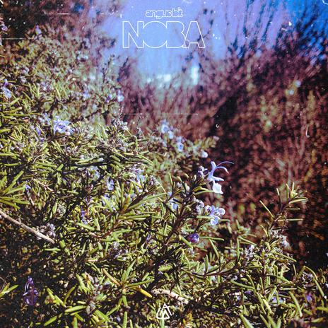 Forest cover art
