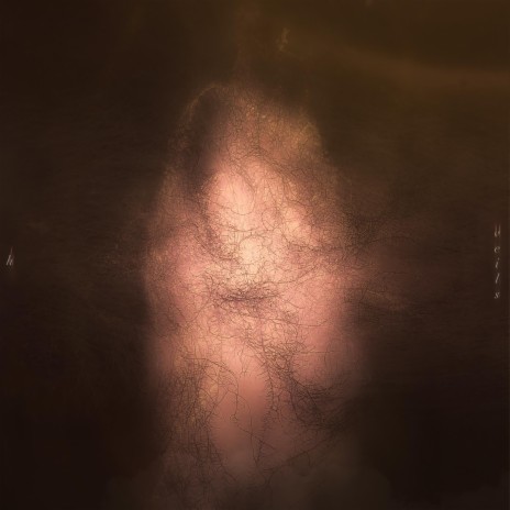 Tulle cover art