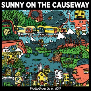 sunny on the causeway