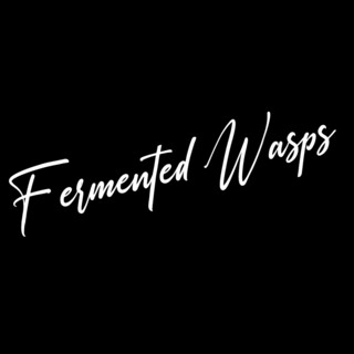 Fermented Wasps (Instrumental) cover art