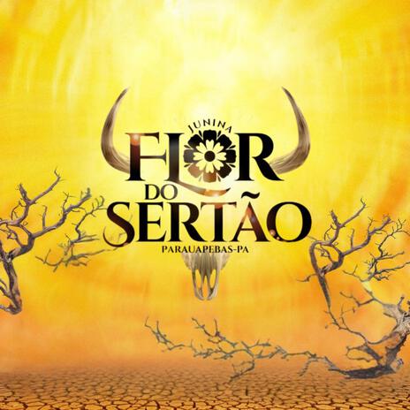 Sou Retirante - Junina Flor Do Sertão