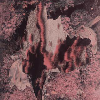 Mouths cover art