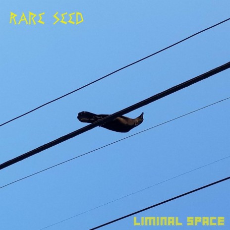 Liminal Space cover art