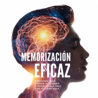 Mentes Brillantes Guru