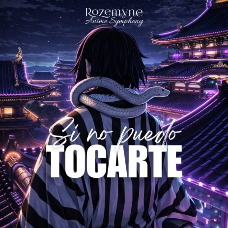 Si no puedo Tocarte cover art