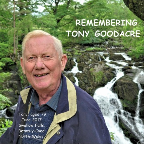 In the Garden cover art