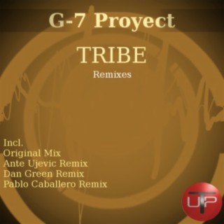 Tribe (Original Mix) cover art