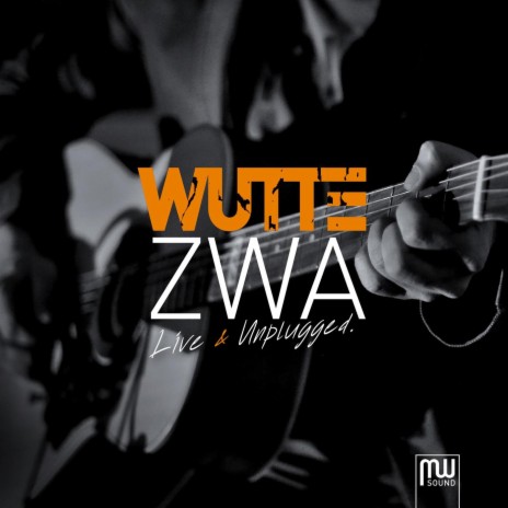 In meine Tram (feat. Werner Groisz) (Live & Unplugged) cover art