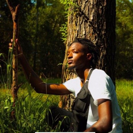 Tree of Life cover art