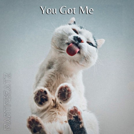 You Got Me cover art
