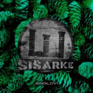 Singlovi