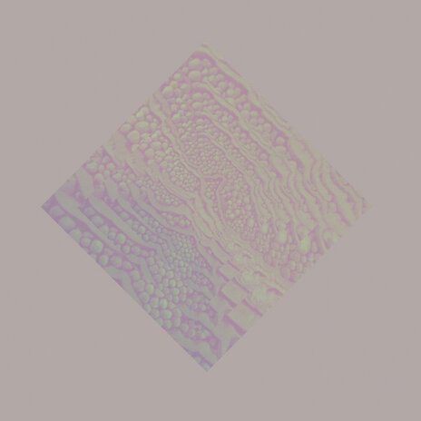 Brian Jonestown Masochist cover art