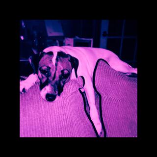 BITTER cover art