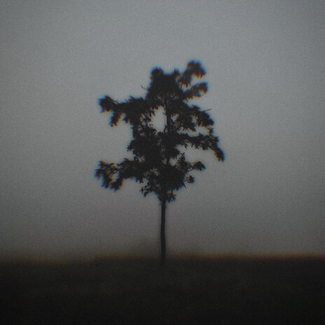 about nothing cover art