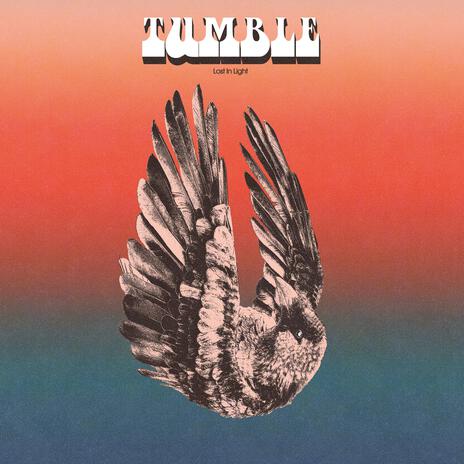 Wings Of Gold cover art