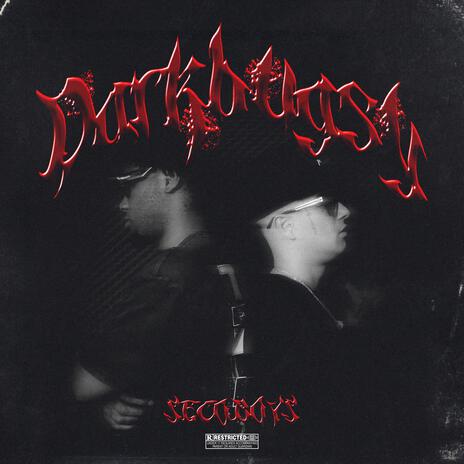 HAVE YOU ONE NIGHT? ft. Dark.e187 & SECO BOYS cover art
