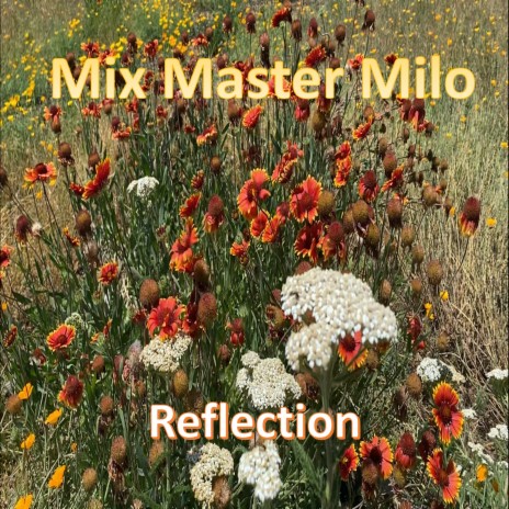 Reflection