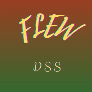 DSS