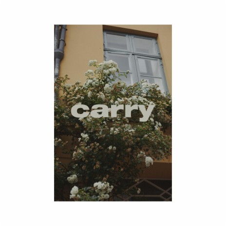 Carry cover art