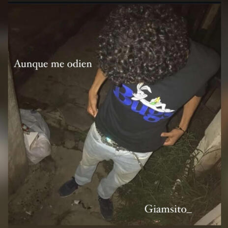 Aunque me odien cover art