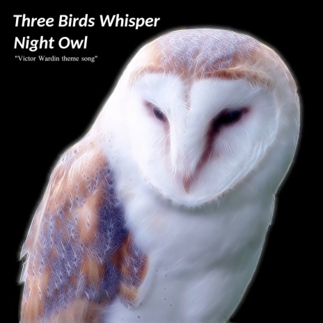 Night Owl (Victor Wardin Theme Song) cover art