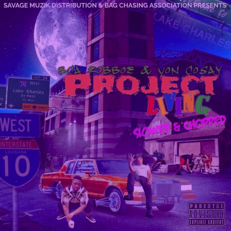 Hustler's Anthem Freestyle (Slowed & Chopped) cover art