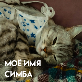 Моё имя Симба