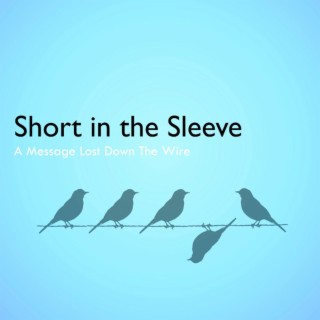 A Message Lost Down the Wire