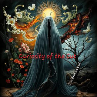 The Broken Veil