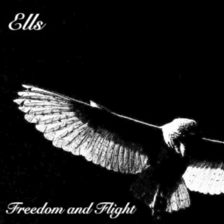 Freedom and Flight