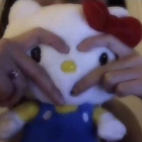 Hello To Her Cat Like Its Hello Kitty cover art
