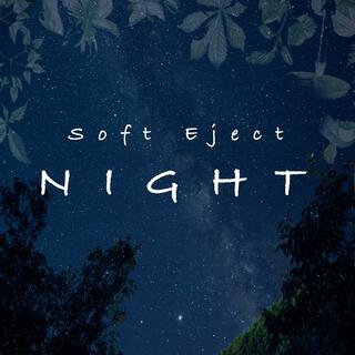 Night cover art