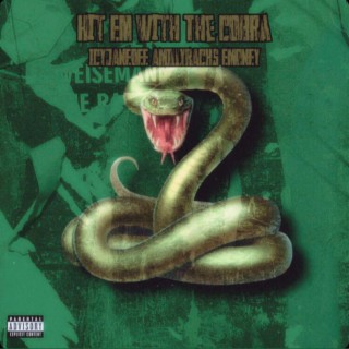 Hit Em With That Cobra ft Amilly Rackz & EMoney cover art