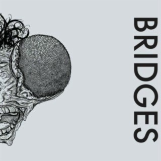 Bridges