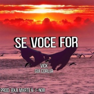 Se Você For ft. Gui Coruja cover art