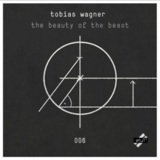 The Beauty Of The Beast (Original Mix) cover art