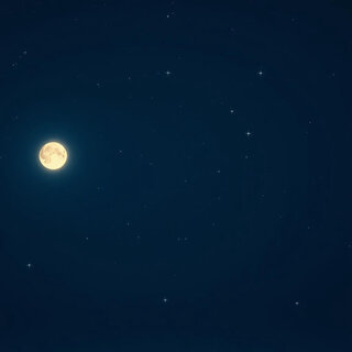Night Skies cover art