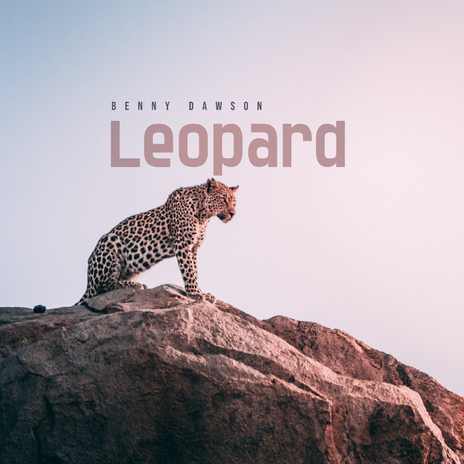 leopard cover art