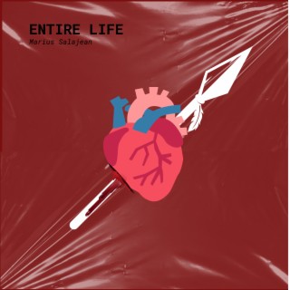 Entire Life