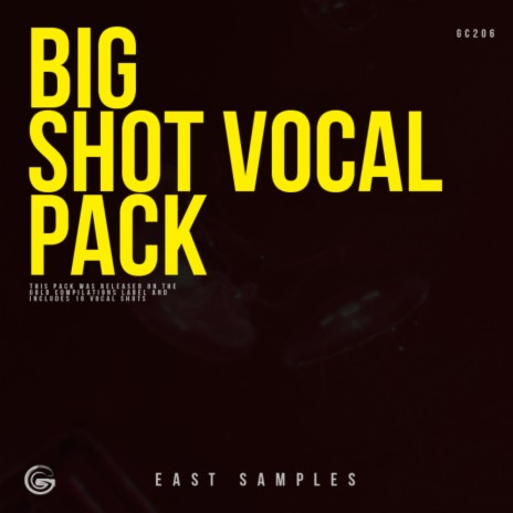 Big Vocal Shot 05 cover art