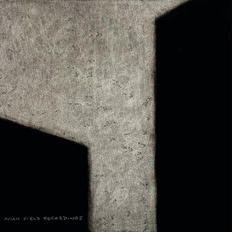 Small Twigs in Constant Motion cover art